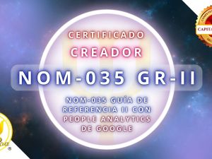 Reclutamiento Estratégico Habilidades digitales, Competencias laborales y bienestar